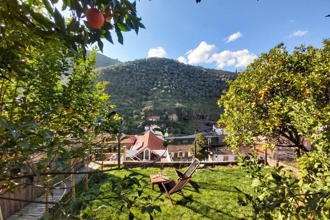 Auberge de jeunesse Douro Backpackers Pinhão