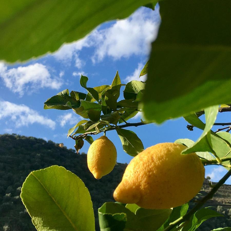 Auberge de jeunesse Douro Backpackers